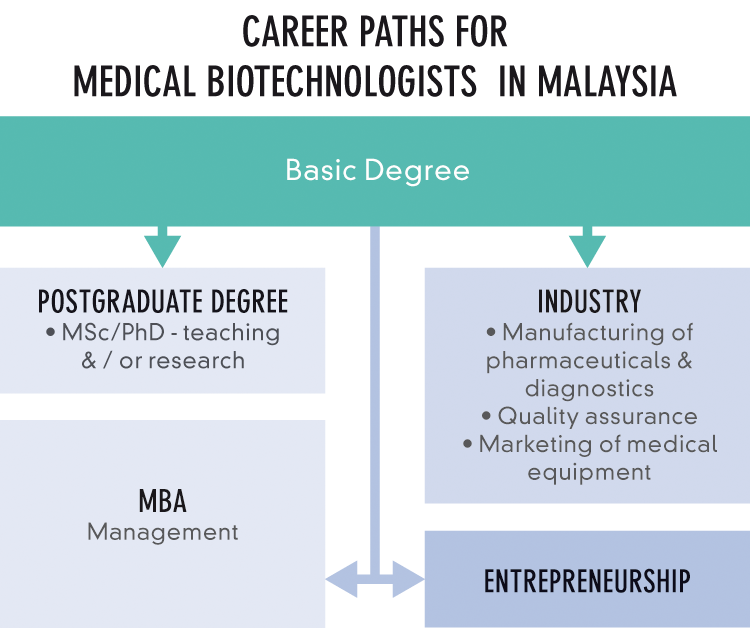 Career Path in Medical Biotechnology