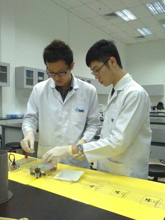 Liew Wee Sam 4