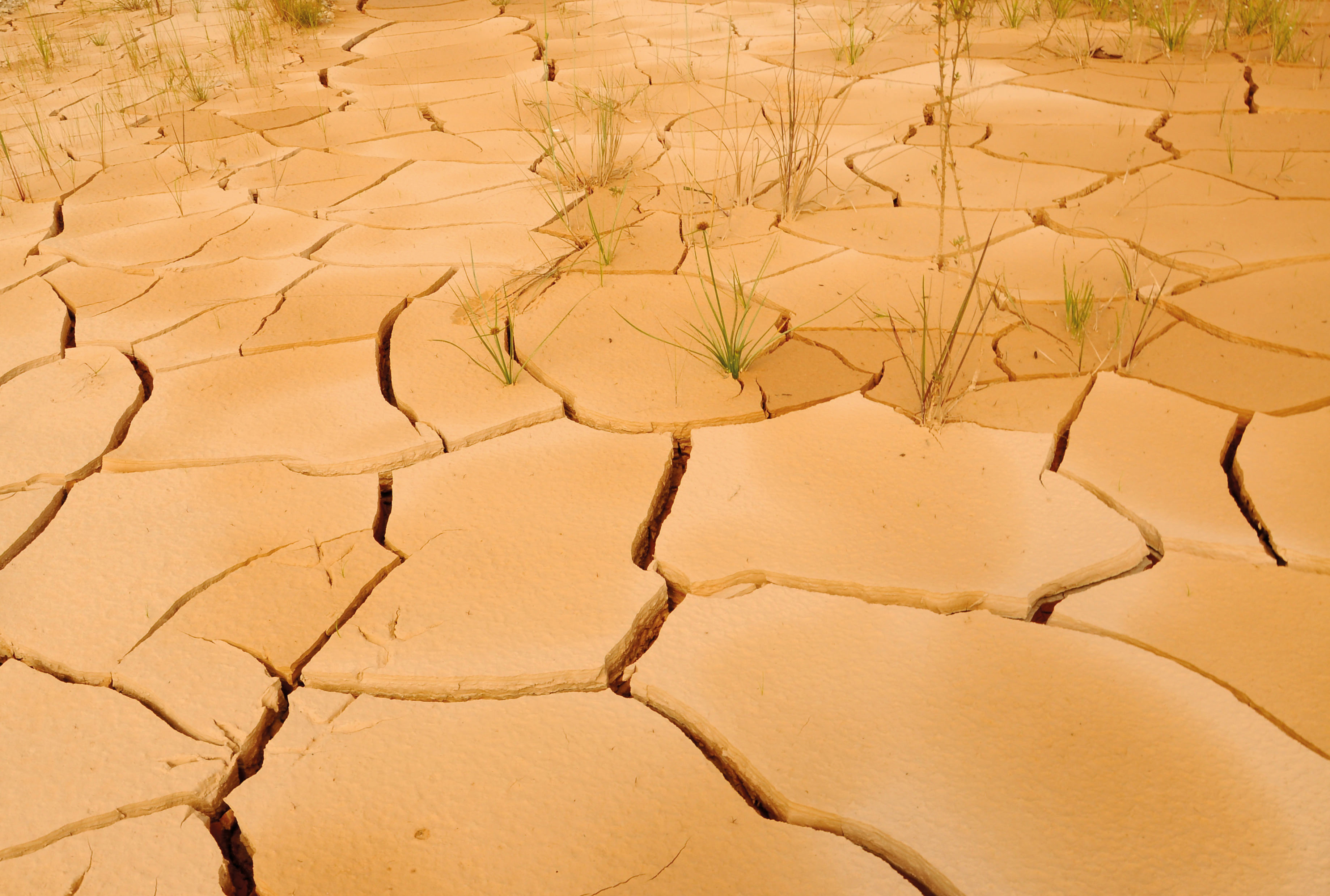 The lake is dried