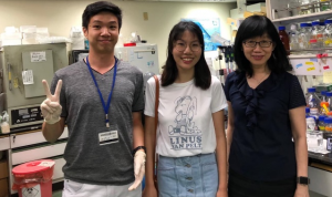 A 3-month internship training for an IMU Medical Biotechnology student at the Neuroscience Department in the Institute of Biomedical Sciences (IBMS), Academia Sinica.