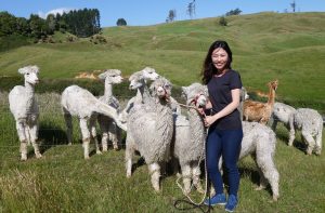 Genieve Yeo Ee Chia, an IMU Biomedical Science student, shares her internship experience in New Zealand.